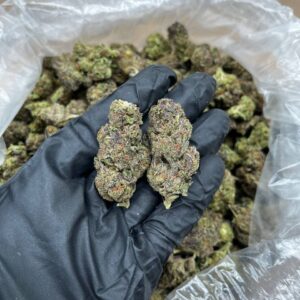 Pink Runtz Strain
