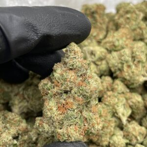 Tartz Strain