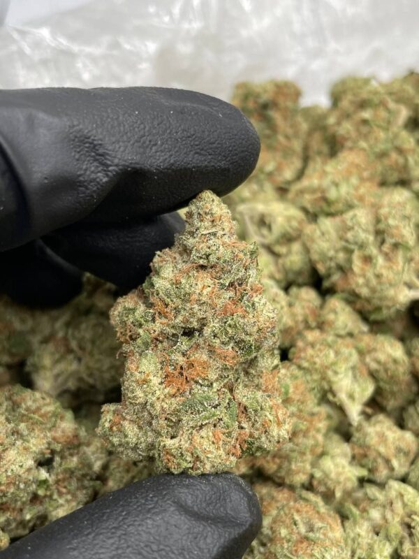 Tartz Strain