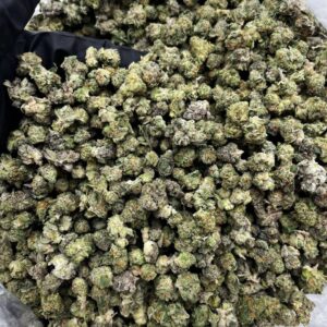 Purple Cream