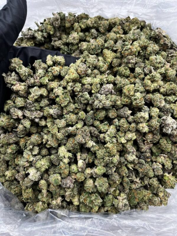 Purple Cream
