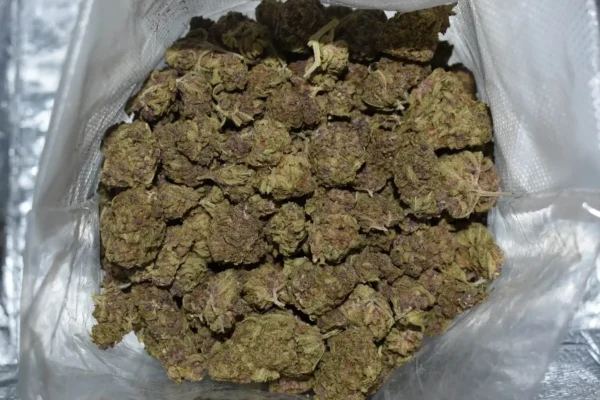Purple Nurple - Image 3
