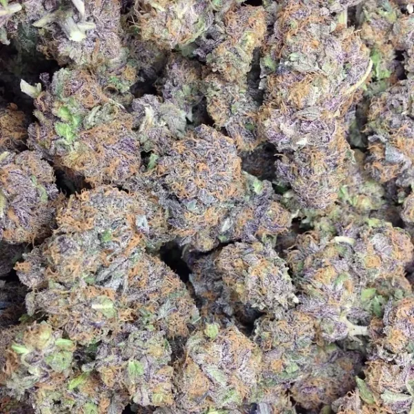 Purple Nurple - Image 4