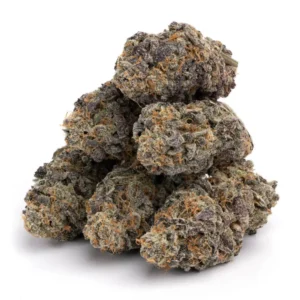 Purple Nurple Strain