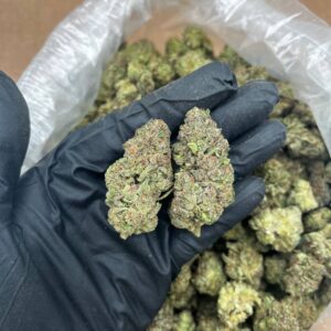 Purple Wish strain
