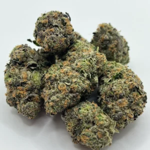 RS54 strain