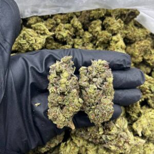 Rainbow Snow Cone strain