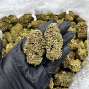 Red Berry Strain