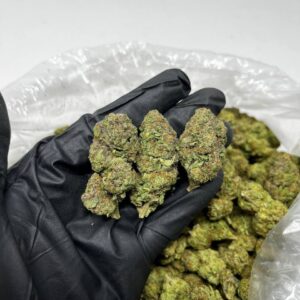 Slurricane strain