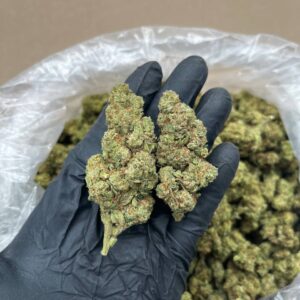 Slurty Strain