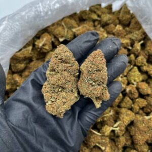 Sour Diesel Strain