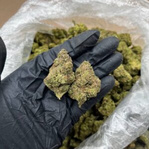 Sprinkle Cake Strain