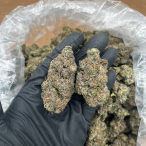 Strawberries N Cream Strain