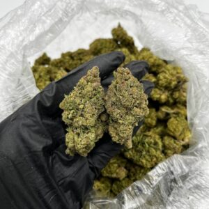 Strawberry Daiquiri Strain