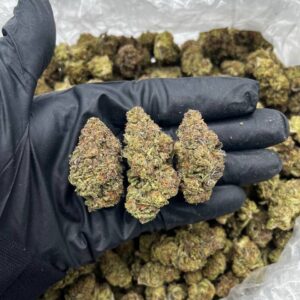 Strawberry Milk Strain