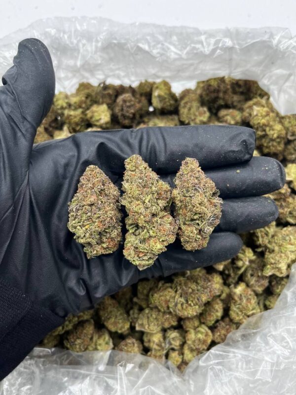 Strawberry Milk Strain