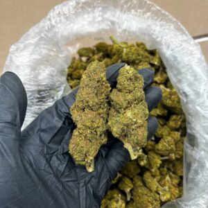 Sundae Driver Strain