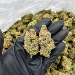 Super MAC strain