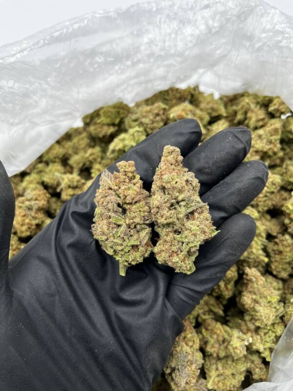 Super MAC strain