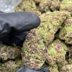 Tropaya Punch Strain