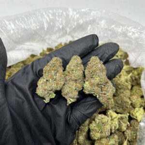 Trufflez Strain