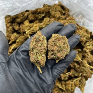 Venom OG strain