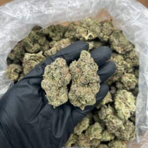 Vicious strain