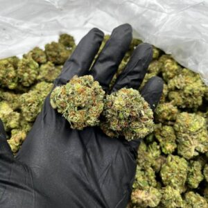 Warheads strain
