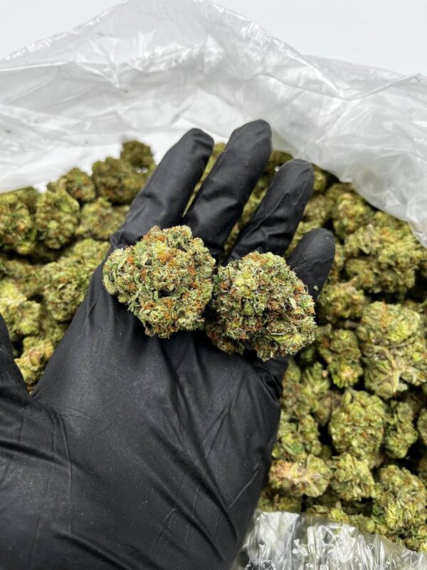Warheads strain