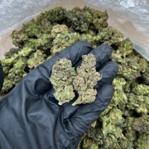 White Cherry Pie Strain
