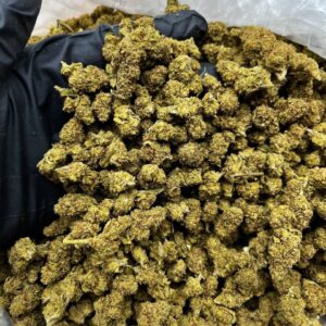 White Gelato Smalls Strain
