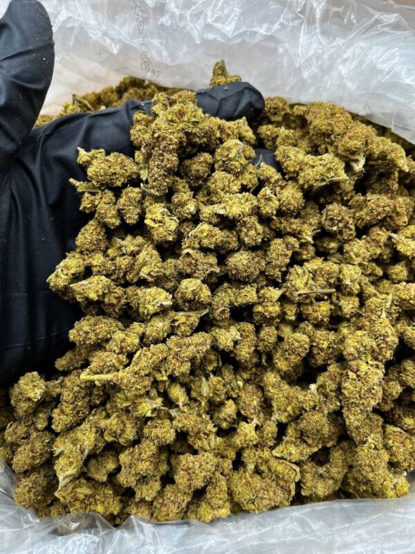 White Gelato Smalls Strain