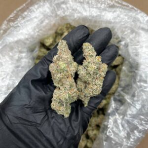 White Gummy Bear Strain