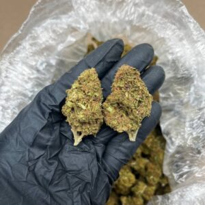 White Widow Strain