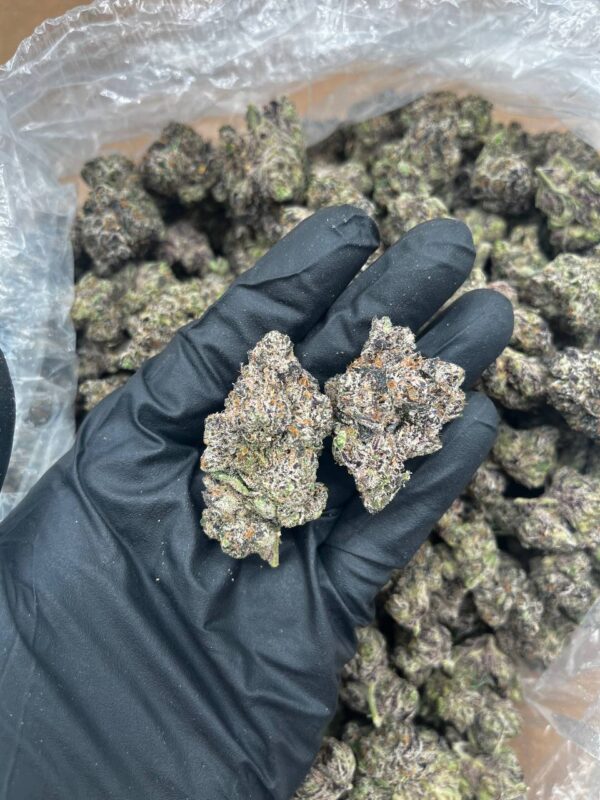ZClair Strain