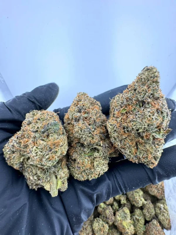 Zoap Strain