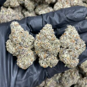 Italian Ice Strain