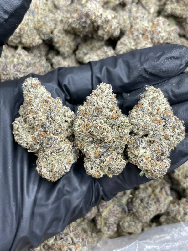 Italian Ice Strain