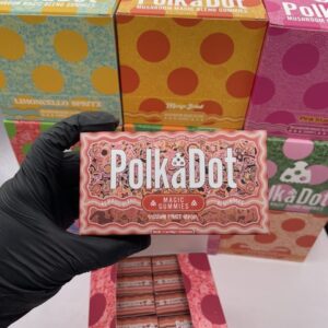 polkadot mushroom magic blend